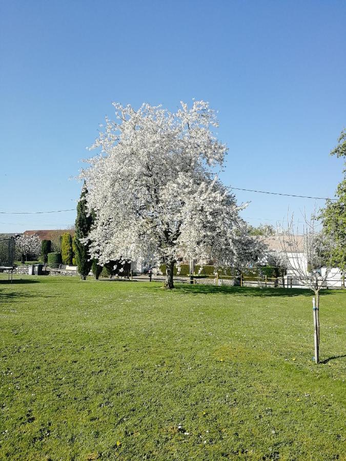 Studio A La Campagne Dans Corps De Ferme Renovee Daire Chancey Dış mekan fotoğraf